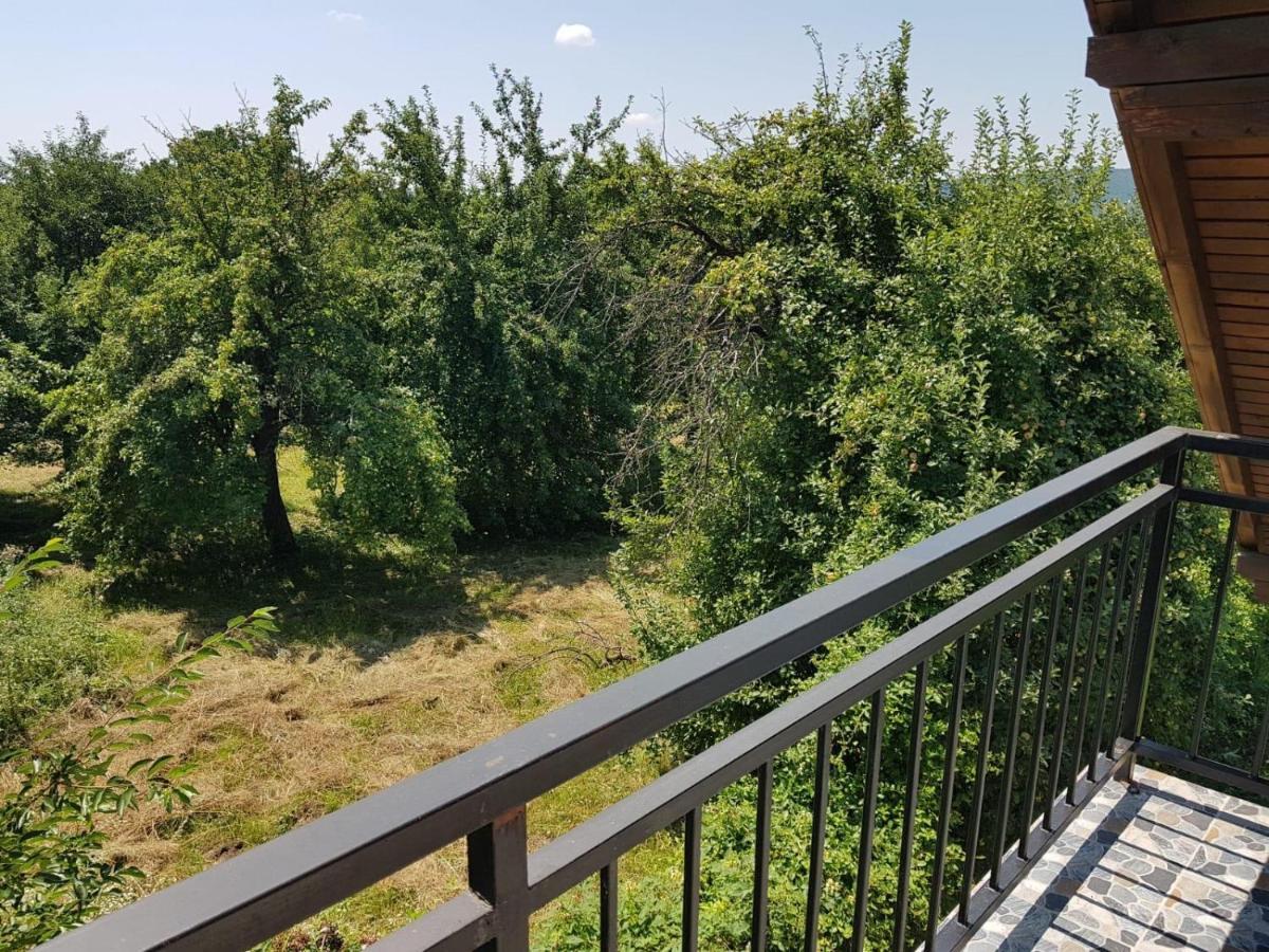 Green Nest Băneşti Exterior foto