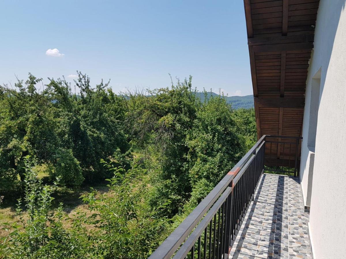 Green Nest Băneşti Exterior foto
